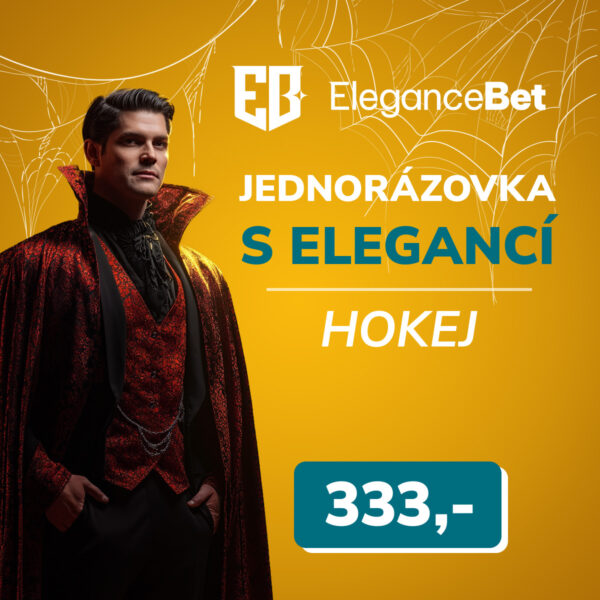 Jednorázový tiket - Hokej
